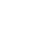 American University of Mongolia